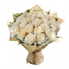 Tribute White Carnations Collection